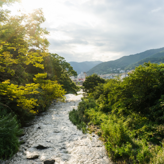自然に囲まれた湯河原温泉