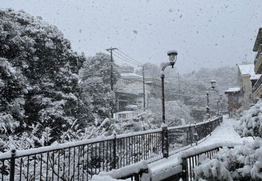 大雪のため臨時休館