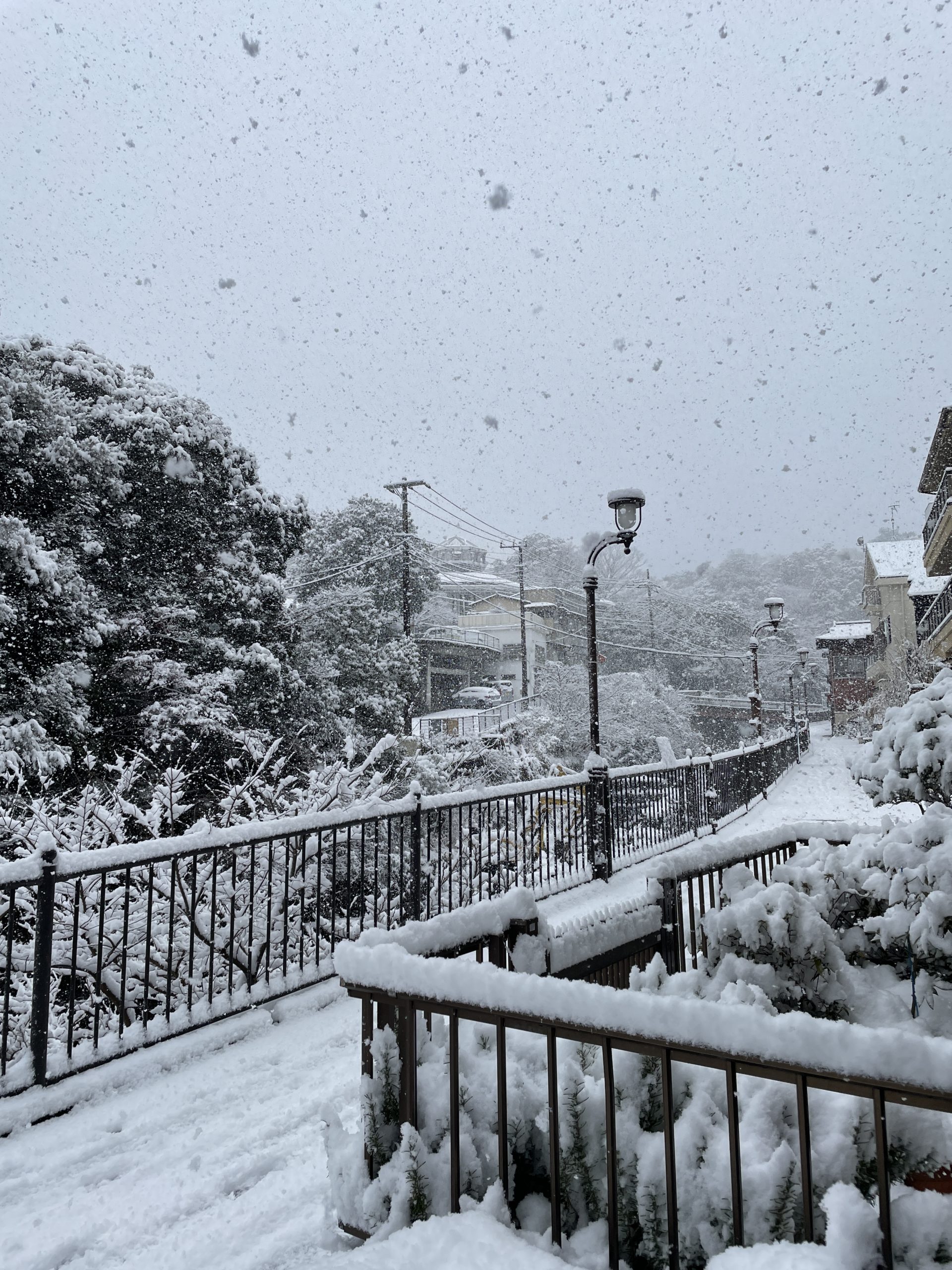 大雪のため臨時休館