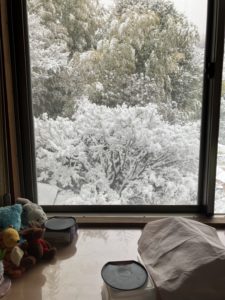 湯河原温泉雪景色