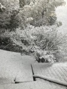 湯河原温泉雪景色