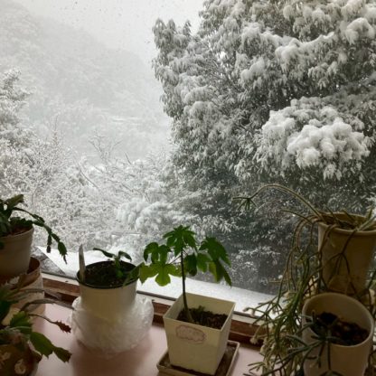 湯河原温泉雪景色
