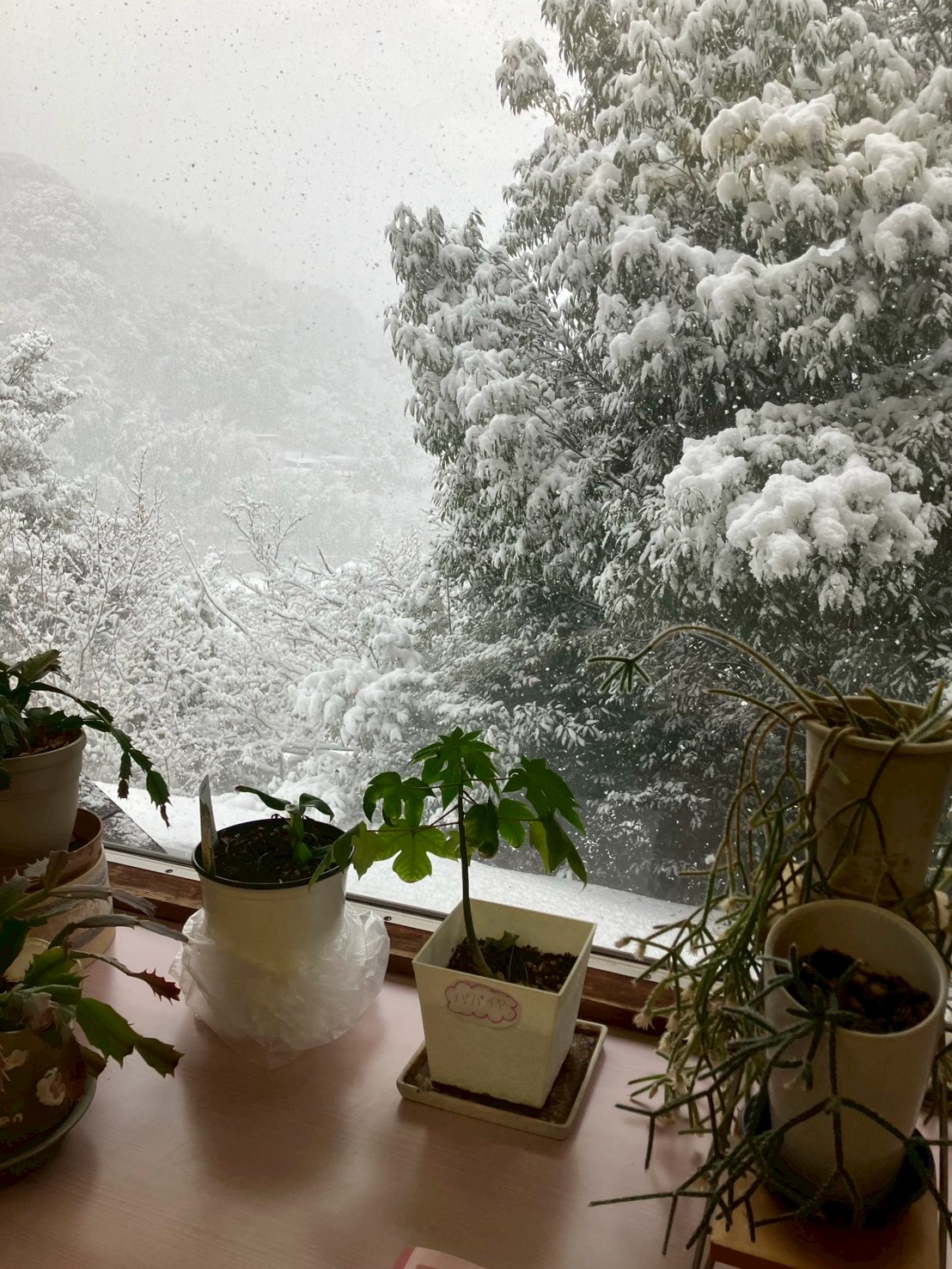湯河原温泉雪景色